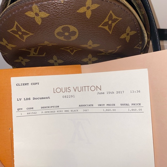 Louis Vuitton Palm Springs Mini - Picture 12 of 13
